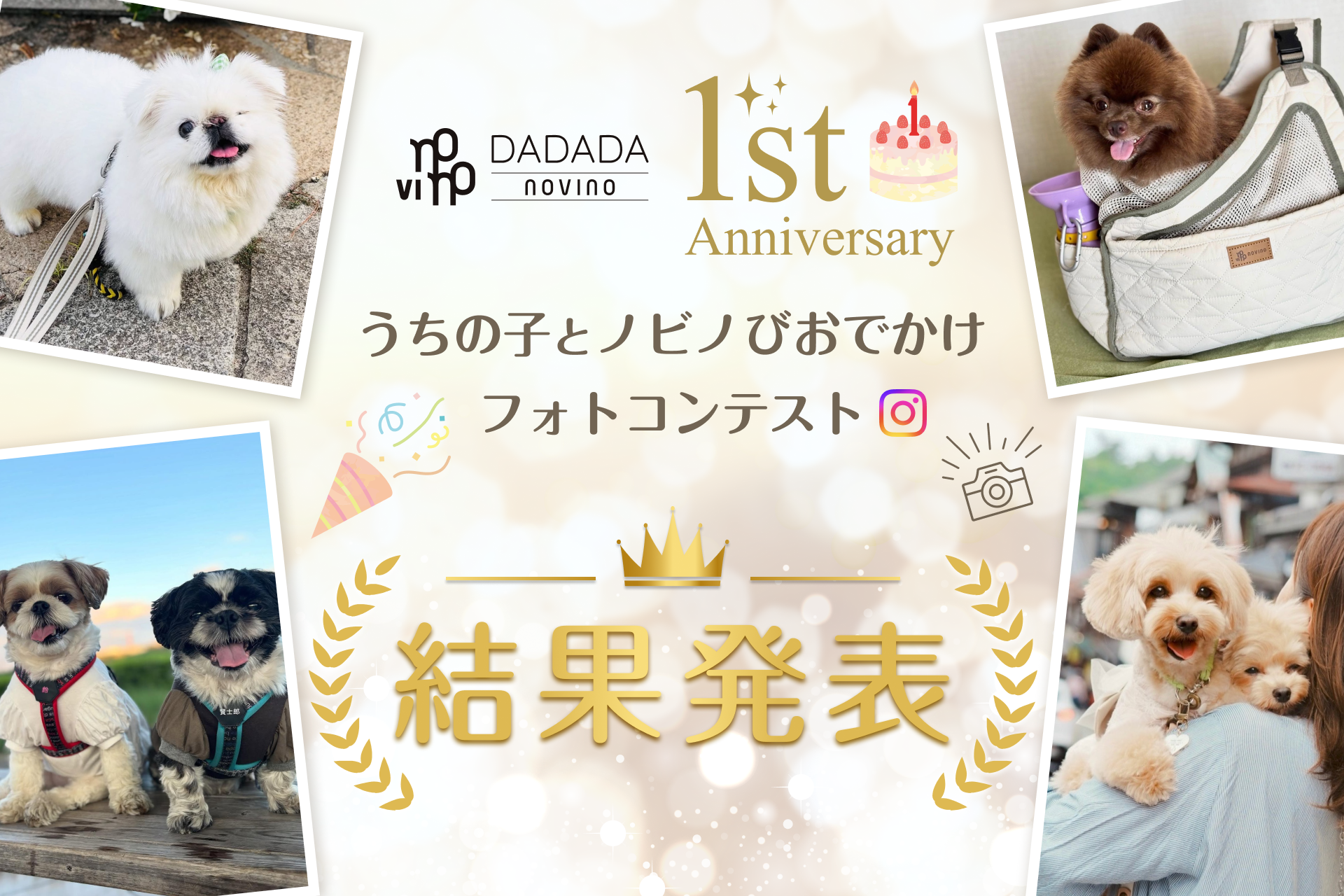 DADADA / novino ブランド1周年記念企画 インスタフォトコンテスト 結果発表