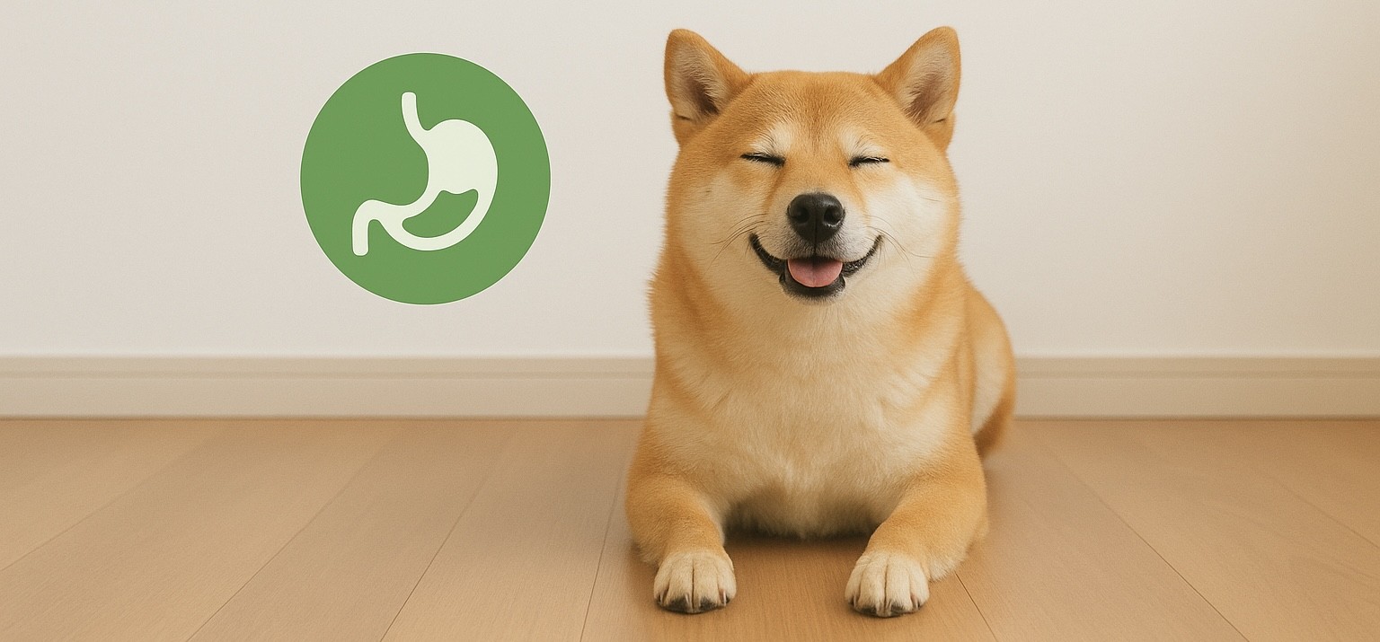 郵送でチェック!愛犬の体調がわかる自宅検査キット5選