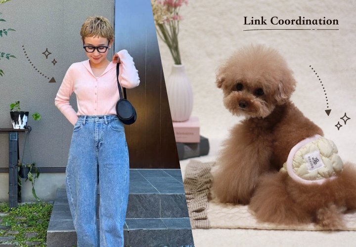 オリジナルブランド「DADADA/novino」の新色マナーベルトが可愛すぎる！秋冬のおすすめコーデをご紹介