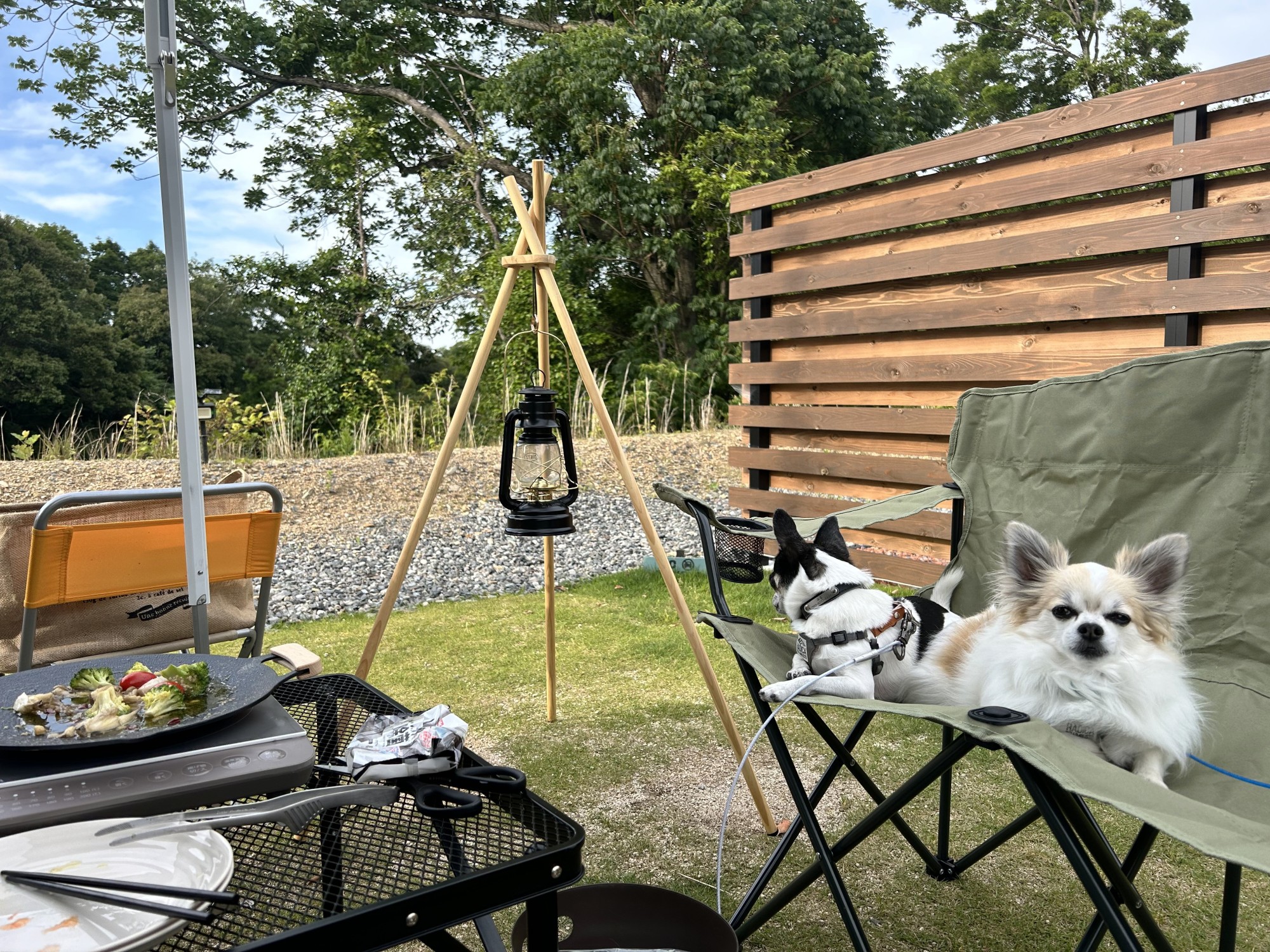 【ペットと移住】好きなものに囲まれてのびのび暮らす…快適に過ごせる住まいの工夫