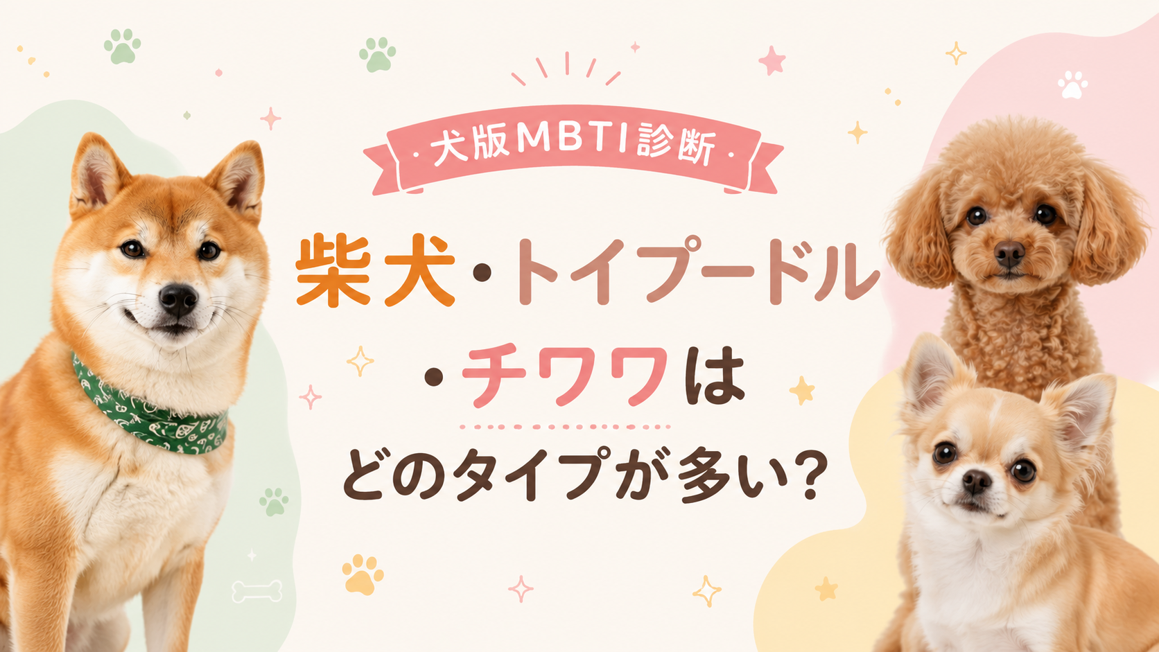 【犬版MBTI診断】柴犬・トイプードル・チワワはどのタイプが多い?