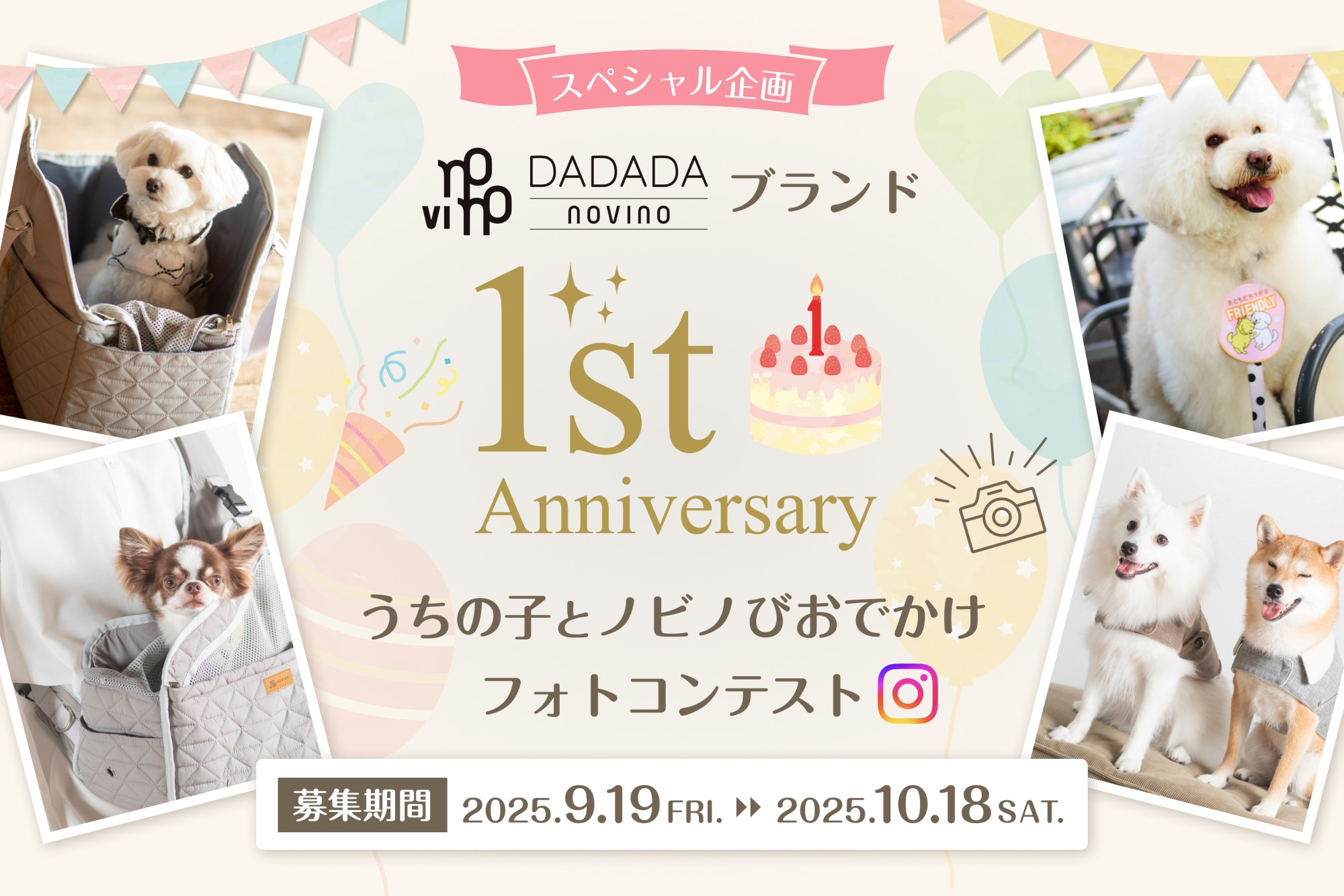 DADADA / novino ブランド1周年記念企画   インスタフォトコンテストを開催します！